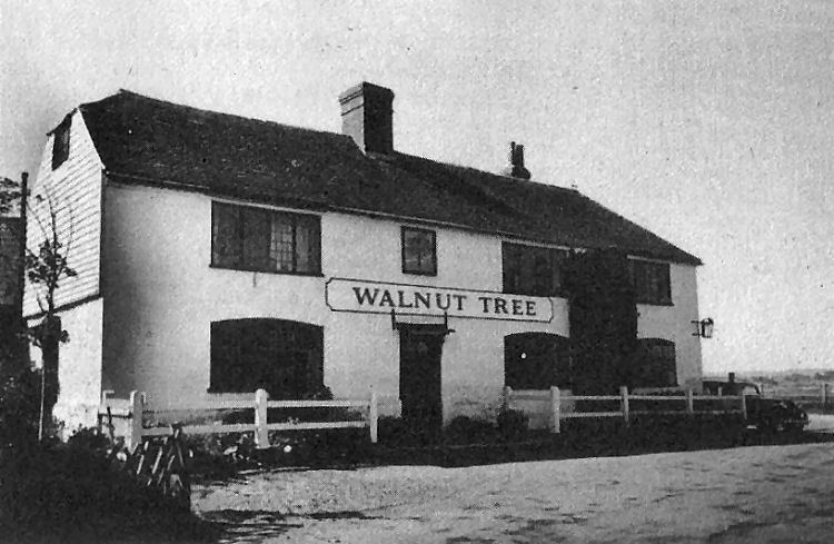 walnut-tree-pub-of-aldington